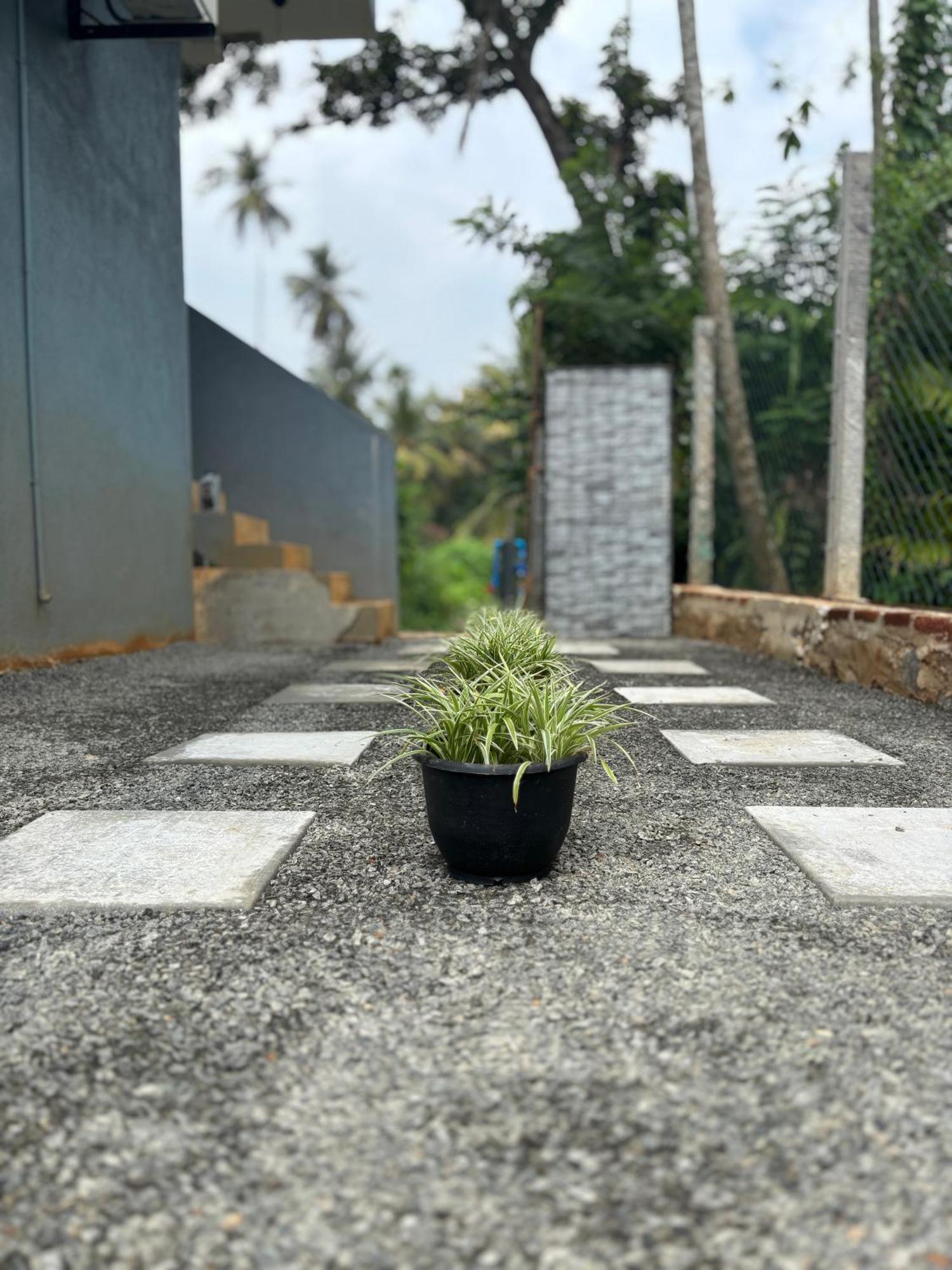 Hotel Noble Nest Hirikatiya Dikwella Sur Exterior foto